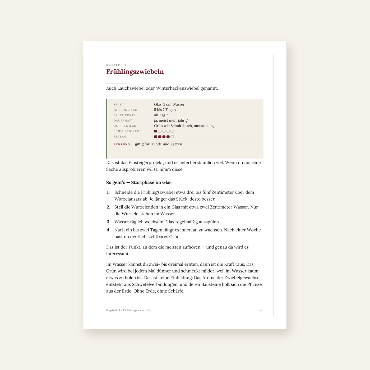 Beispielseite: Steckbrief Frühlingszwiebeln